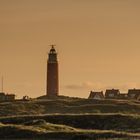 Texel