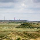 Texel