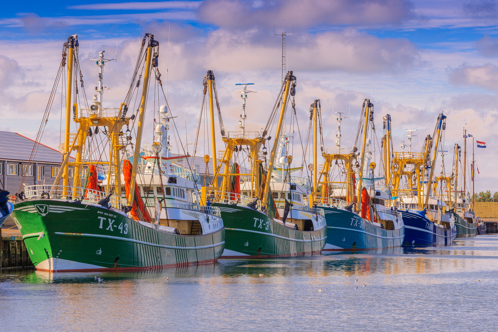 Texel - Fischkutter