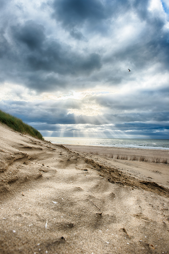 Texel HDR