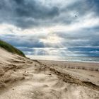 Texel HDR