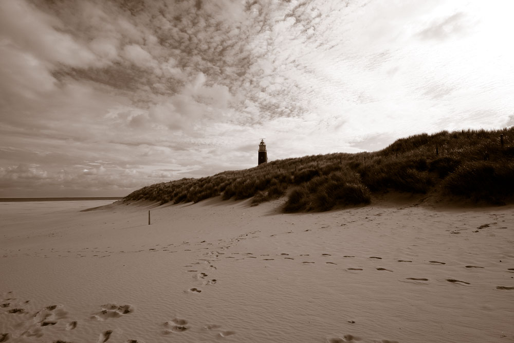 Texel I