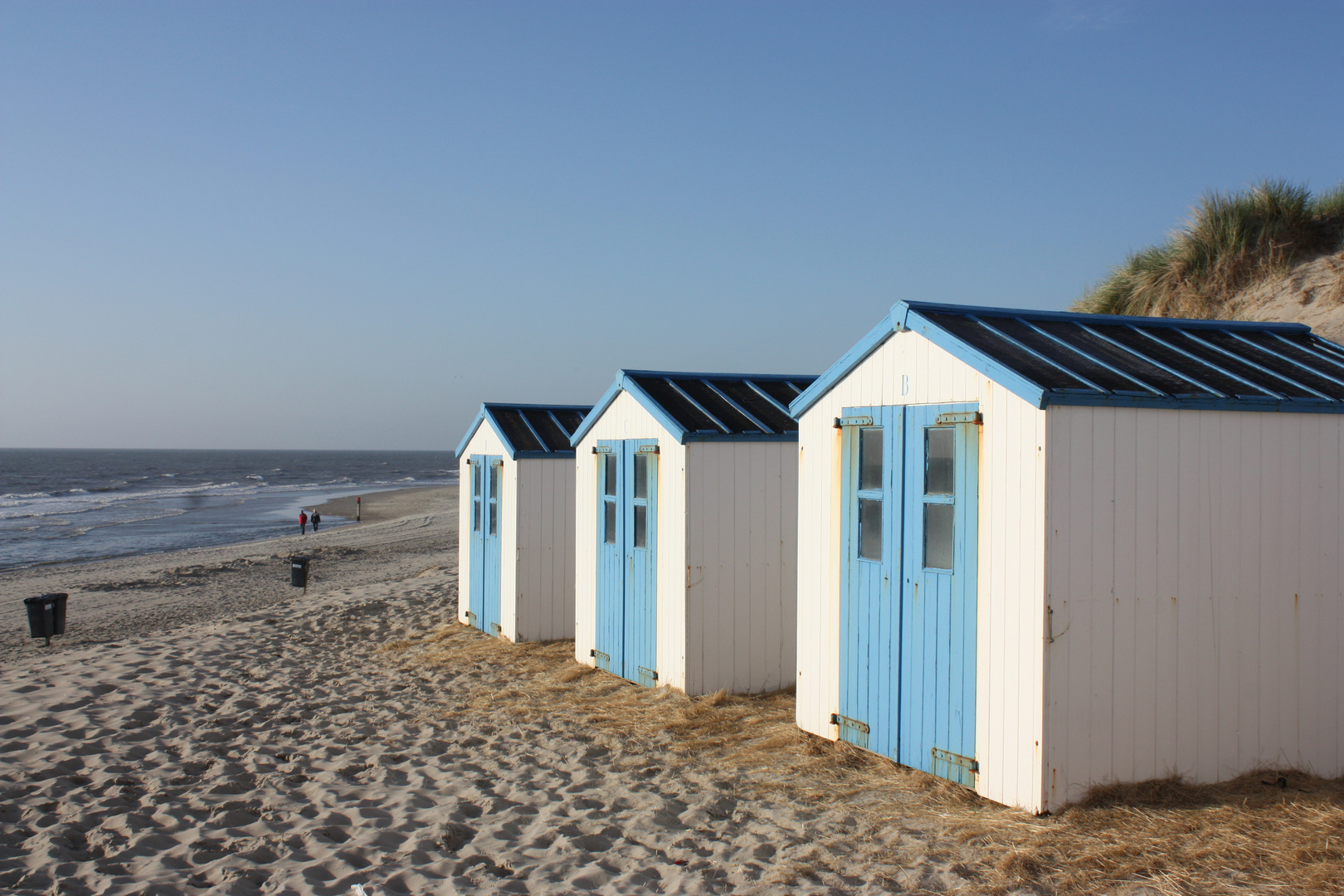 Texel im Juli