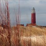 TEXEL - In Red