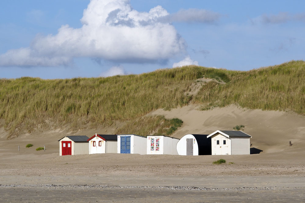 Texel IV