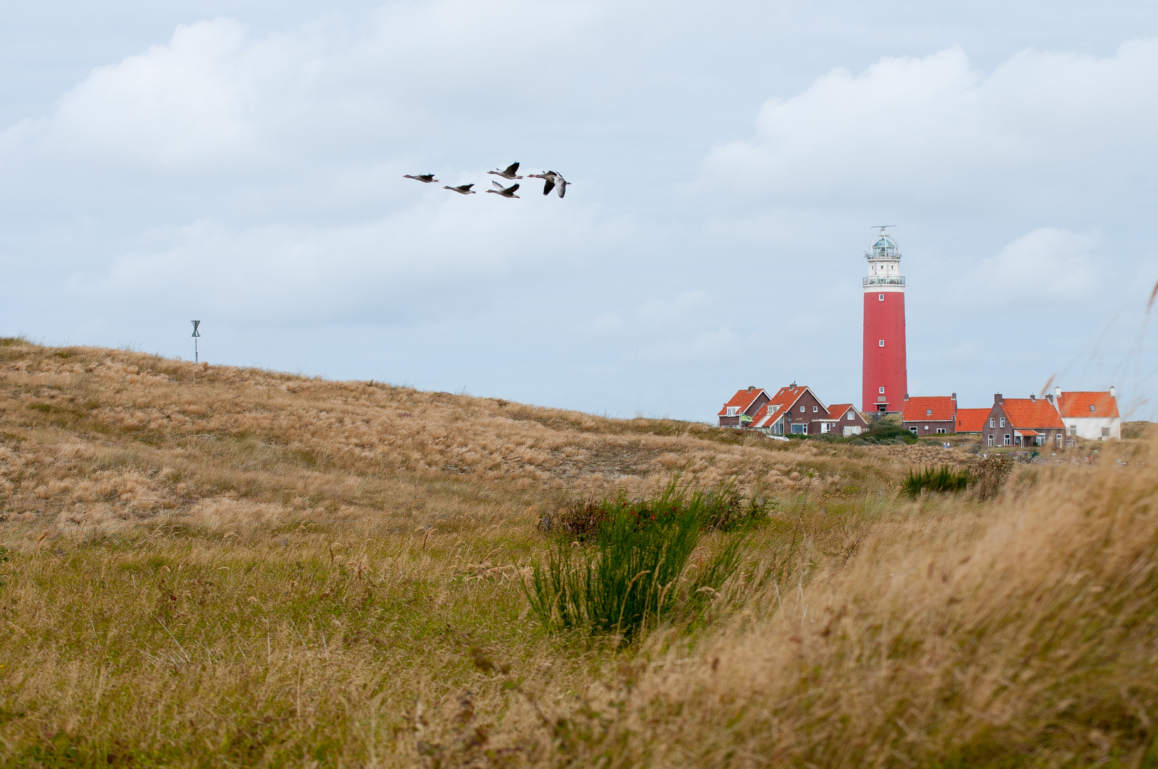 Texel Leuchtturm 