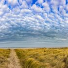 Texel Lighthouse