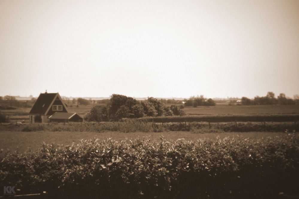 Texel - Nähe Den Burg