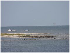 Texel: Natur und die Suche nach Oel