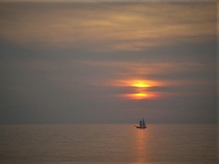  Texel. NL. Sunndown