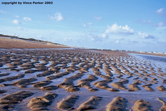 texel september 2003