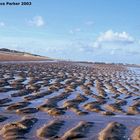 texel september 2003