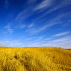 Texel - Sky over the dunes