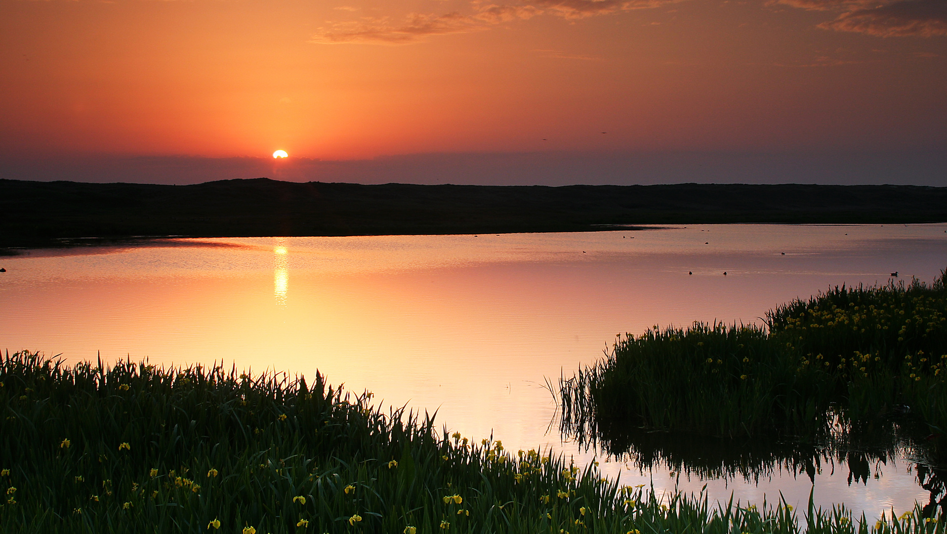 Texel Sonnenuntergang über Groote Vlak