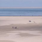 texel-strand