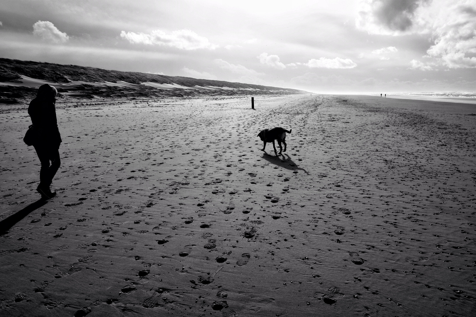 Texel Strand Pur