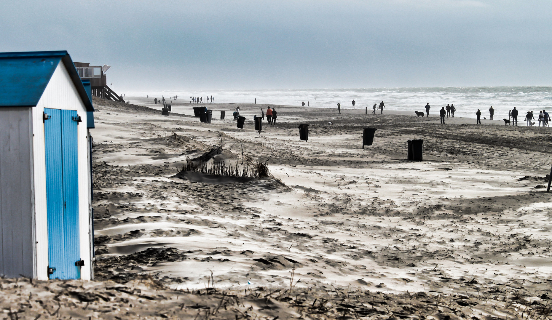 Texel - Strandimpression (2)