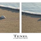 Texel swimming