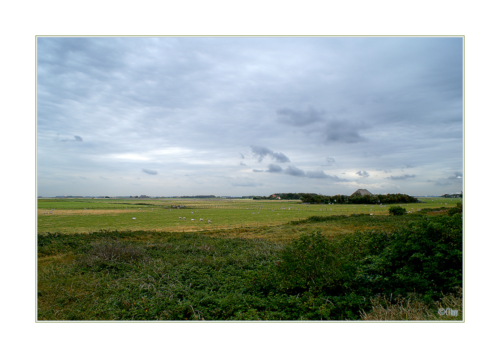 TEXEL V - in der Nähe von De Slufter