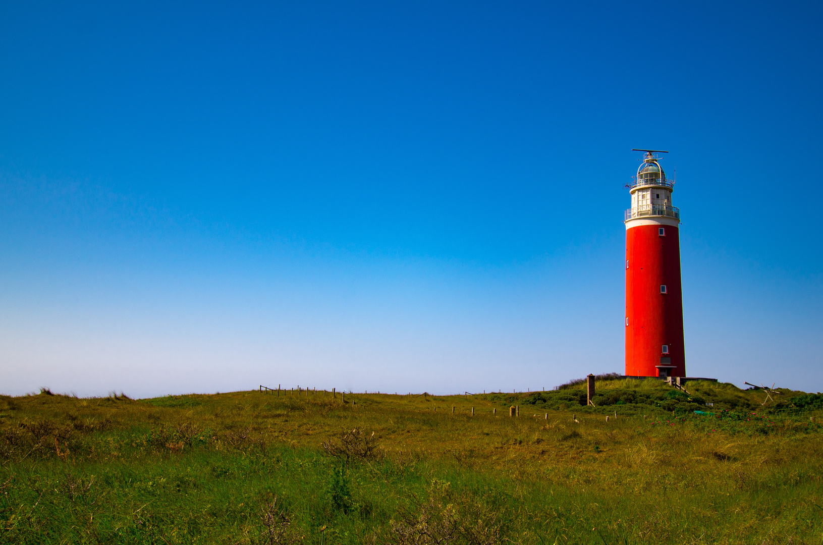 Texel2016-03