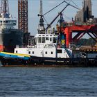 TEXELBANK / Tug / Botlek / Rotterdam