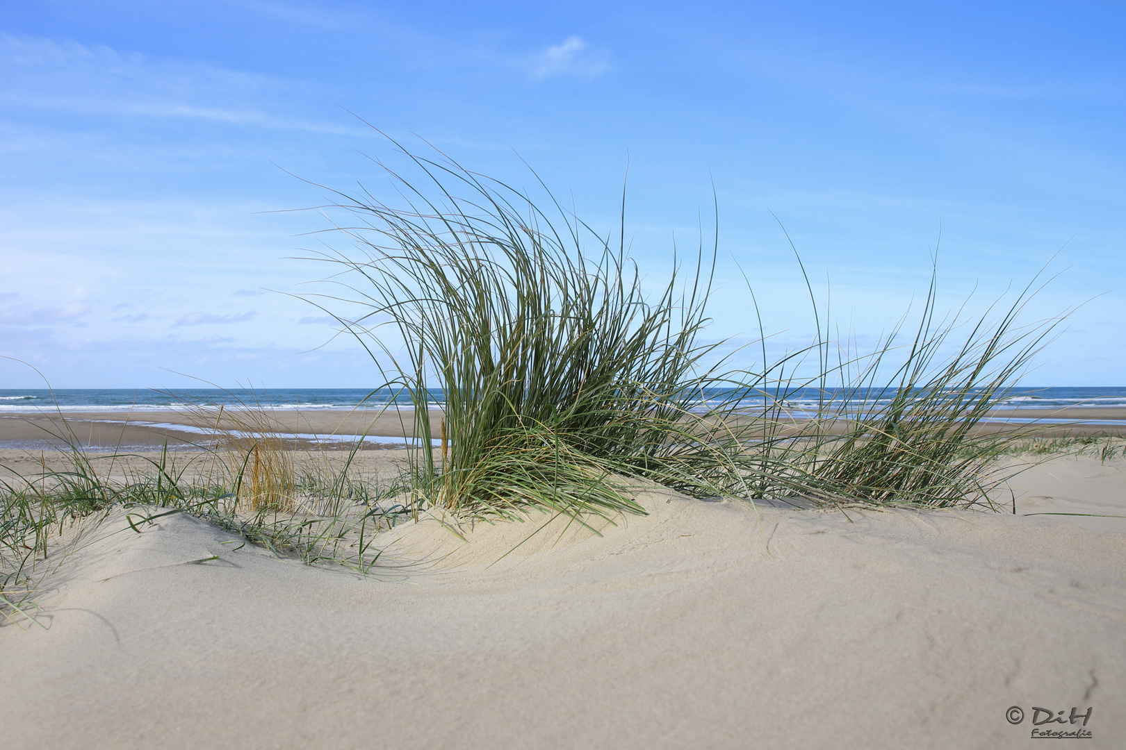 Texelstrand