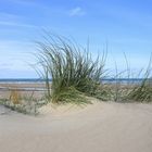 Texelstrand