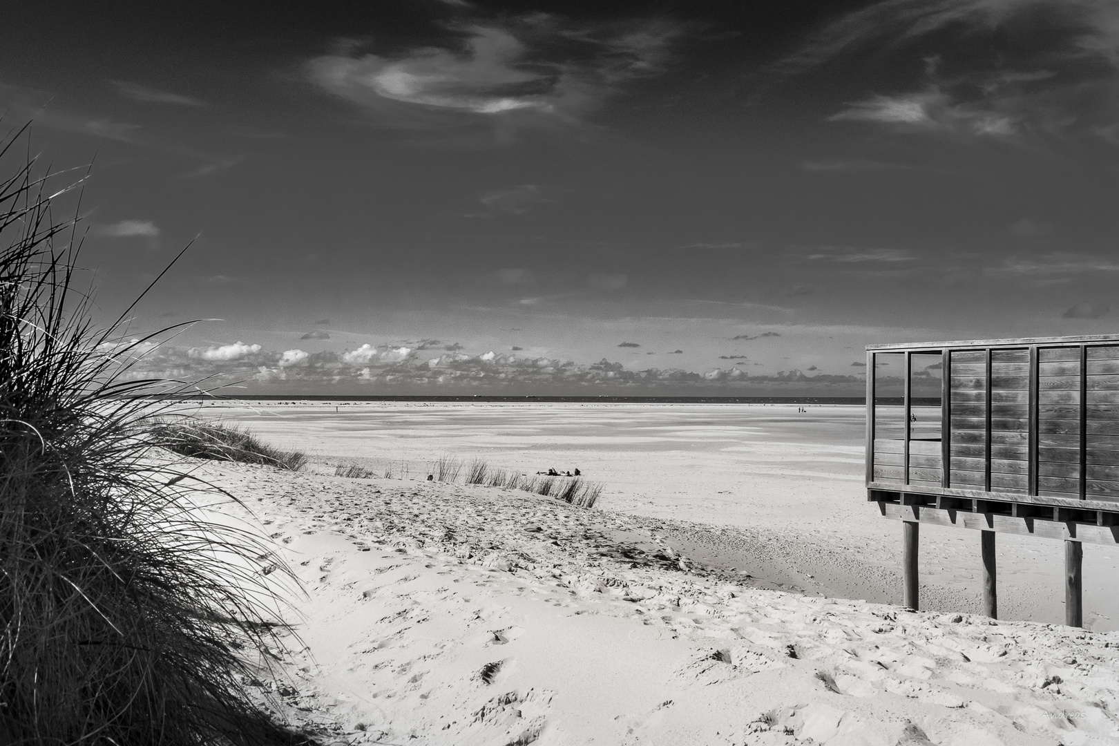 Texelurlaub steht an...