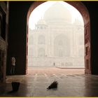 TEXT Taj Mahal + Mann mit Kehrbesen -ca-11-col +TEXT Reisefotografie