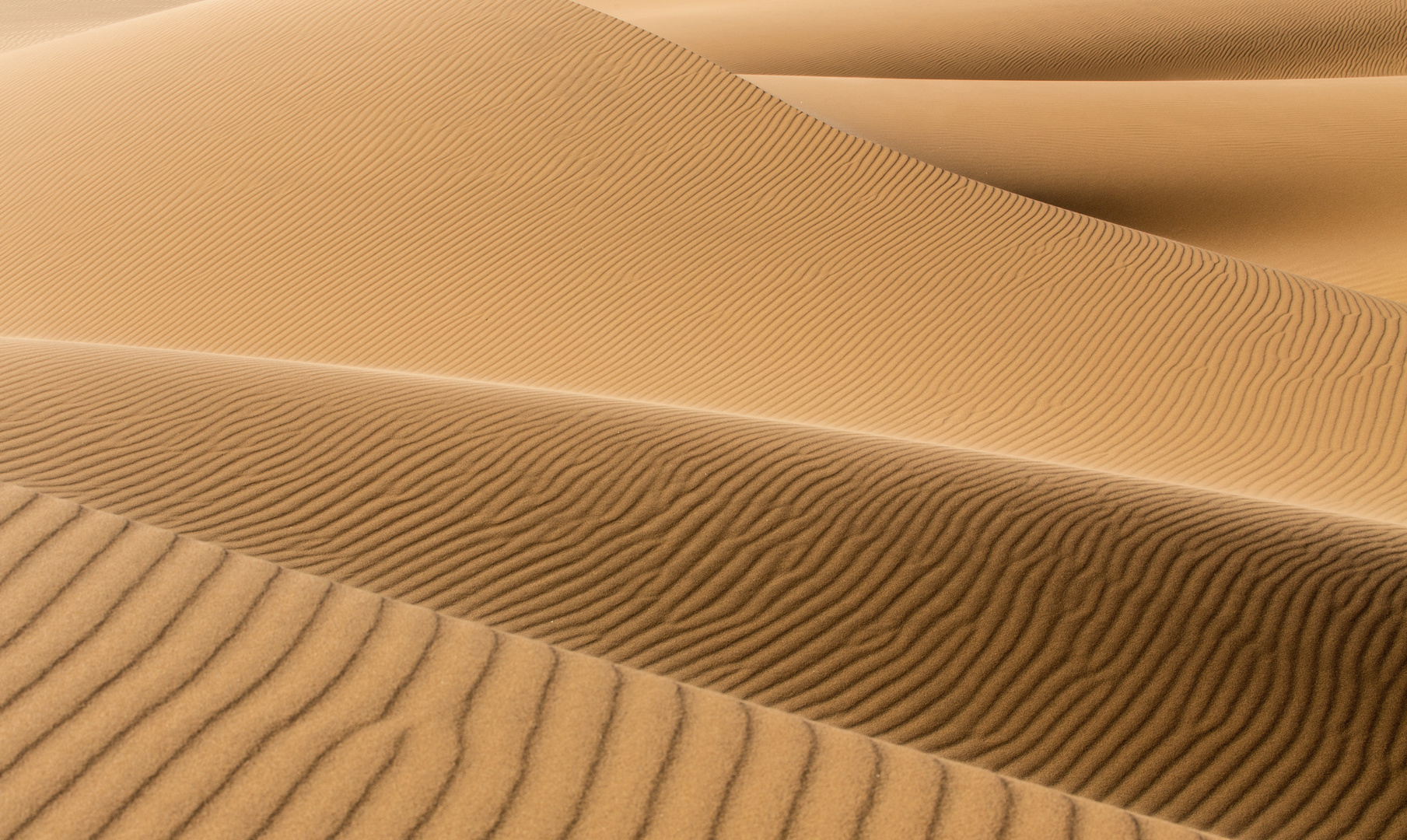 Textures in the Dunes