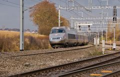 TGV 2869/8 nach Paris