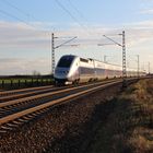 TGV auf der Reise nach Frankfurt