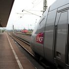 TGV auf Deutschlands Schienen