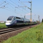 TGV auf direktem weg zur Côte d'Azur