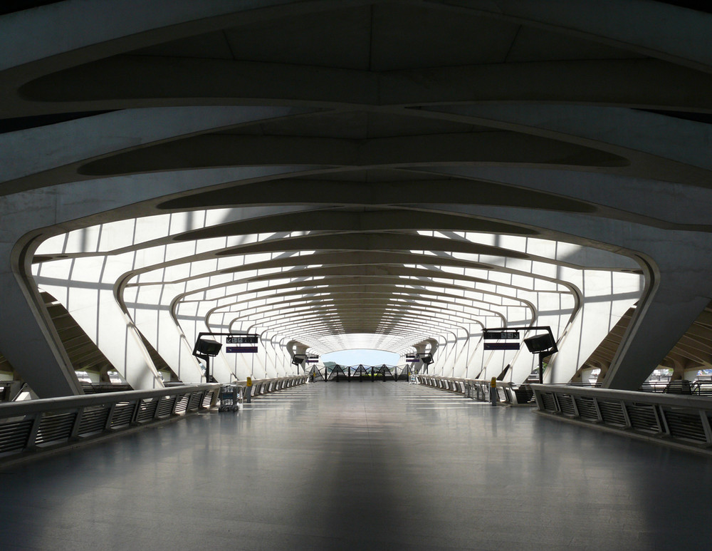 TGV-Bahnhof Antoine Saint-Exupéry bei Lyon, Innenansicht der TGV-Trasse