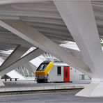 TGV-Bahnhof Liège-Guillemins 4 in Belgien