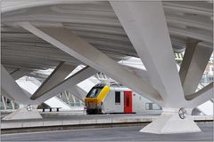 TGV-Bahnhof Liège-Guillemins 4 in Belgien