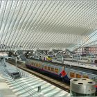 TGV-Bahnhof Liège-Guillemins in Belgien 2