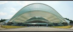 TGV-Bahnhof Liège-Guillemins in Belgien 7