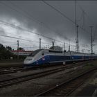 TGV de Marseille