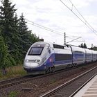 TGV durchfährt den Bahnhof Wolfskehlen in Richtung Frankfurt