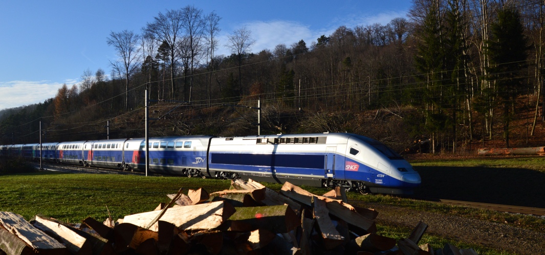 TGV durchs Holz