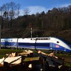 TGV durchs Holz