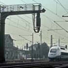 TGV im Gegenlicht auf dem Weg nach Frankfurt