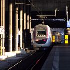 TGV im SBB