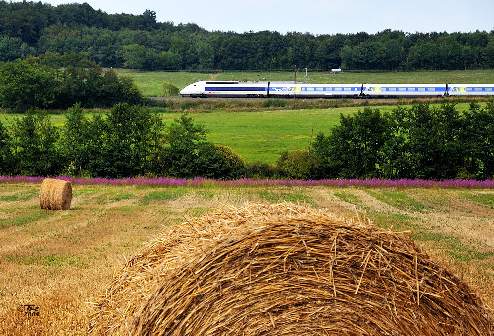 TGV in der Provinz - IV -