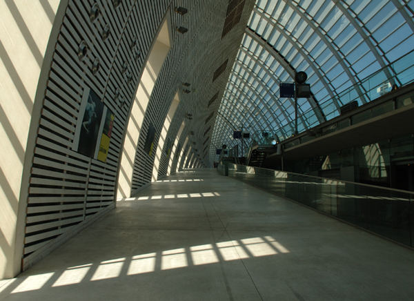 TGV Kathedrale von Avignon