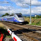 TGV Lyon-Geneve