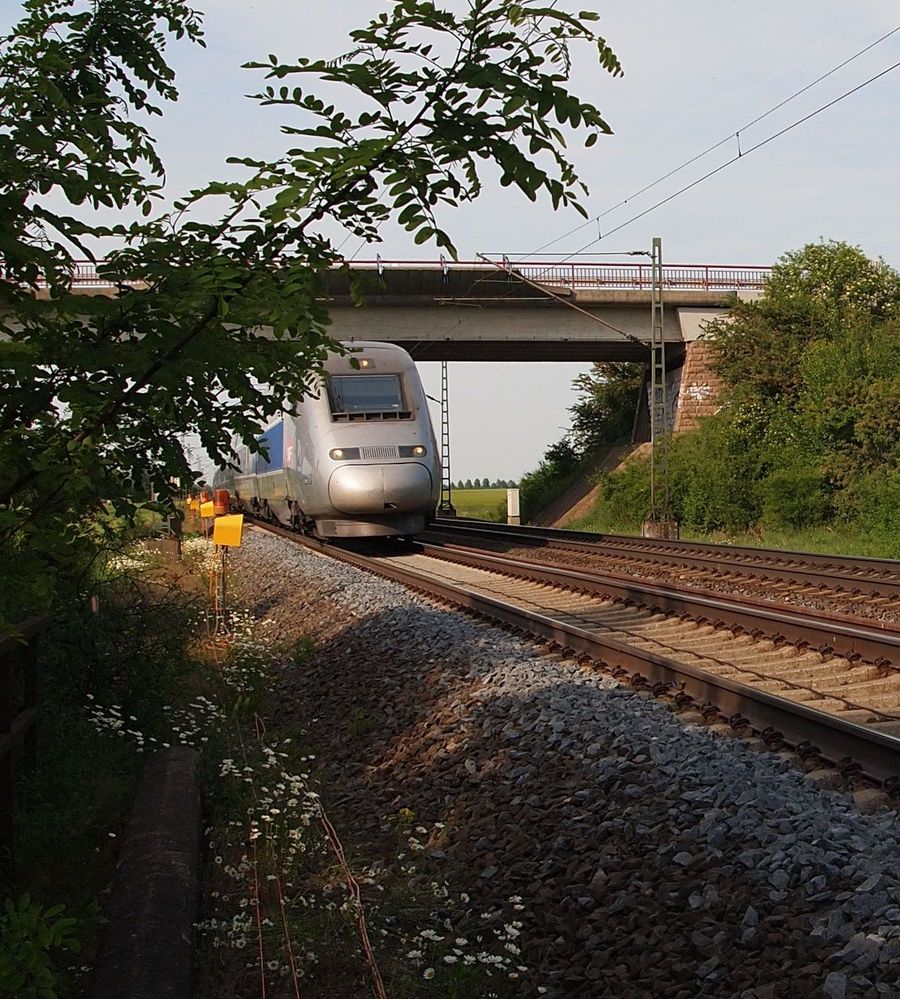 TGV nach Paris