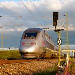 TGV POS (I)